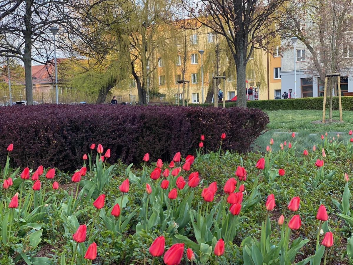 Mona Wrzeszcz Apartment Gdansk Bagian luar foto